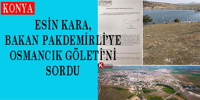 Milletvekili Esin Kara, Bakan Pakdemirli’ye Osmancık Göleti’ni sordu