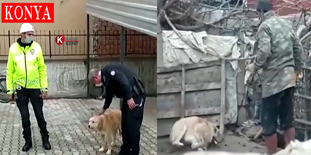 Köpeği döven şahıs polis tarafından yakalandı