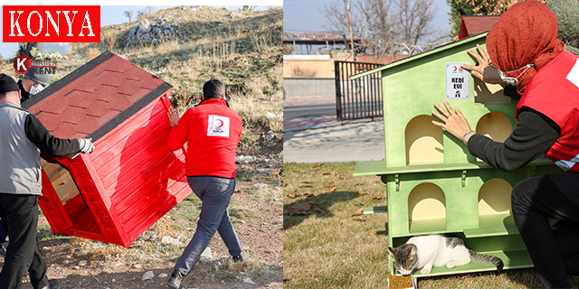 Gönüllülerce Meram’a yeni kedi, köpek ve kuş evleri kazandırılıyor