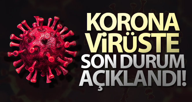 Türkiye’de Son 24 Saatte 137 Kişi Korona Virüsten Yaşamını Kaybetti
