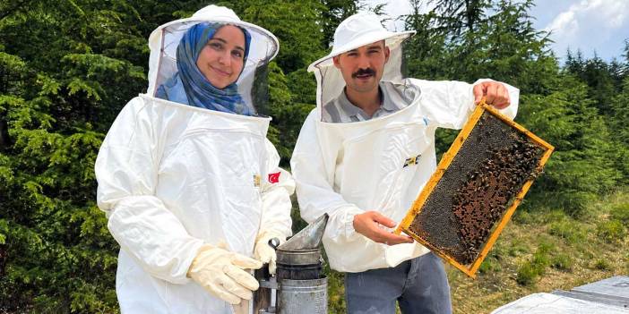 Hububat Diyarı’nda Bal Bereketi Yaşanıyor