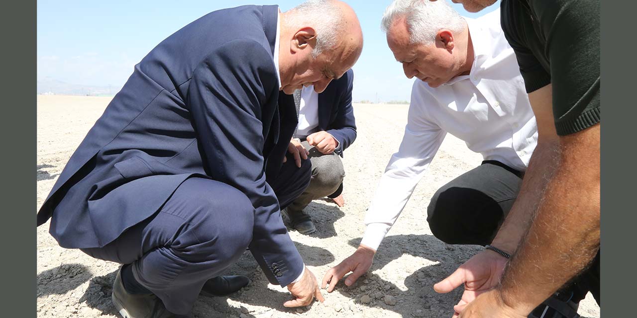 24nis-konya-seker-misir2.jpg
