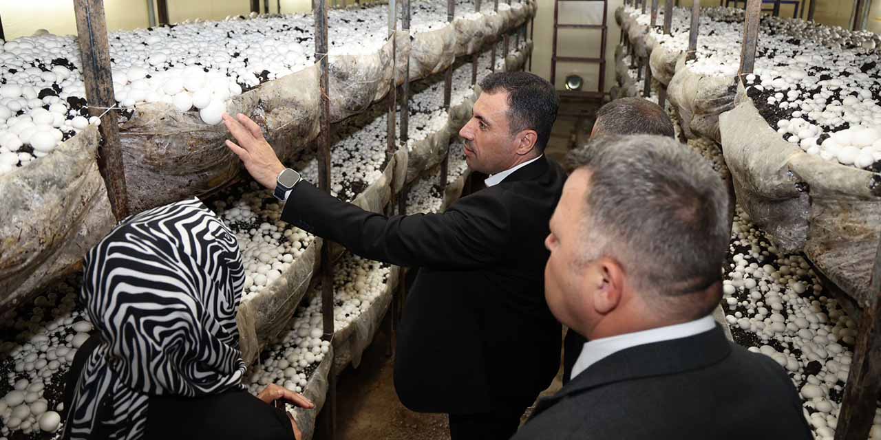 9mays-ak-parti-yalihoyuk5.jpg