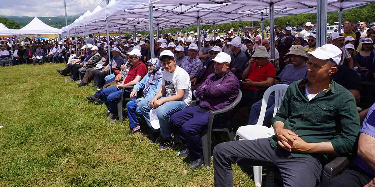 8hazr-akkise-senlik5.jpg