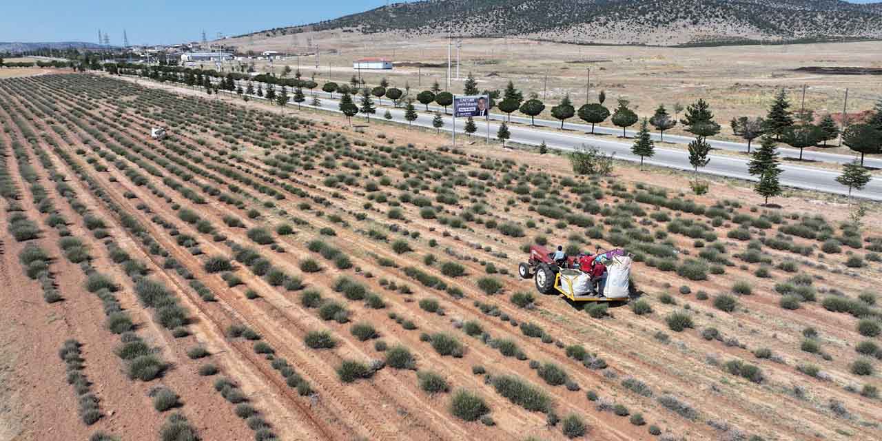 30hazr-buyuksehir-tarim2.jpg