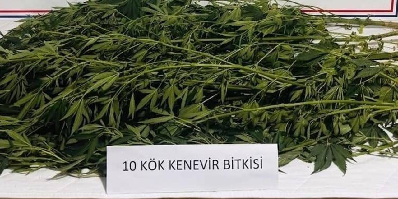 4agus-uyusturucu-operasyon2.jpg