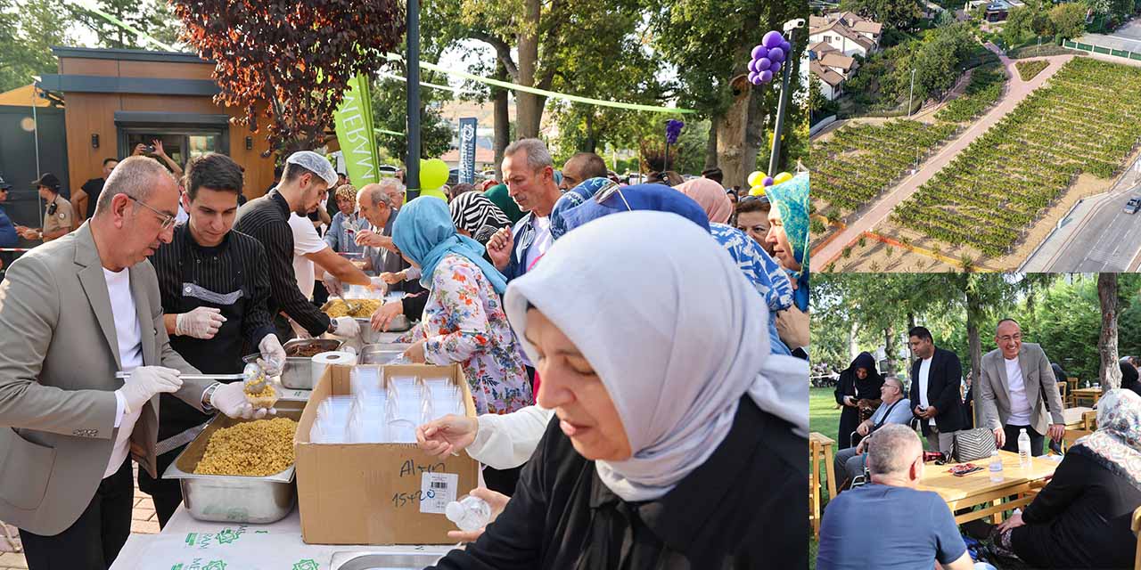 19eyl-mer-bel-bag-bozumu3.jpg