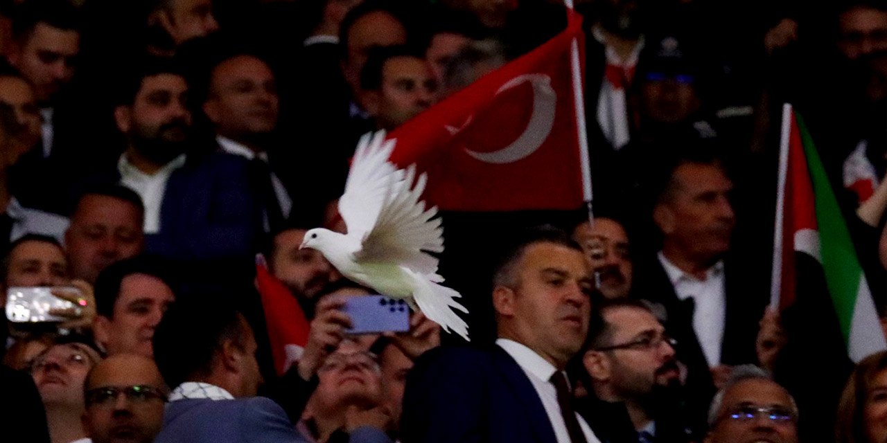 30eyl-guvercin-ucuruldu-filistin5.jpg